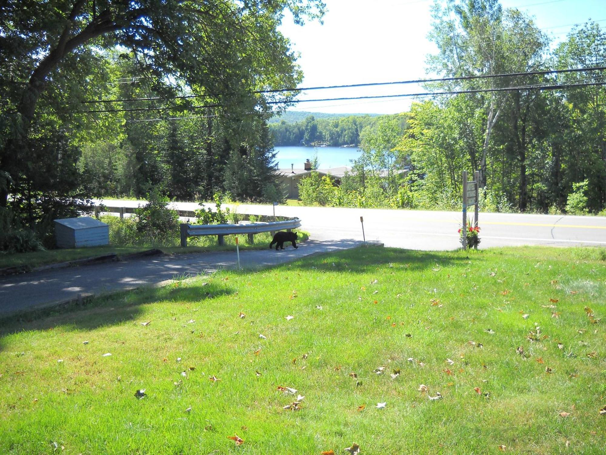 Lakeview Motel Haliburton Extérieur photo