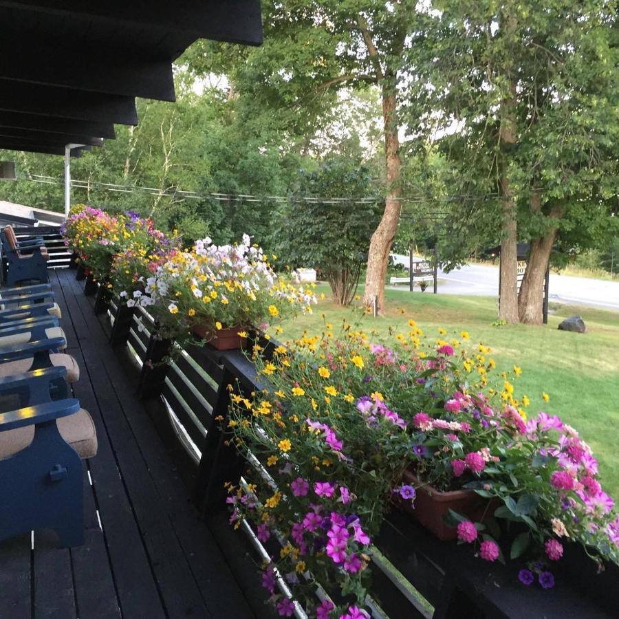 Lakeview Motel Haliburton Extérieur photo